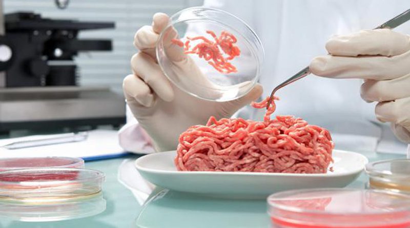 5 ‘Carne etica construccion a partir de una celula sin sacrificio animal