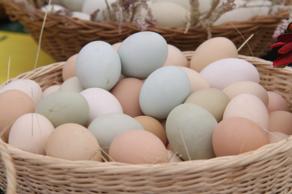 huevos omega 3 antioxidantes min 2834704591