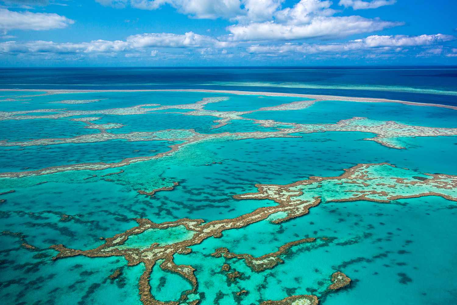 Explore the Great Barrier Reef in Australia