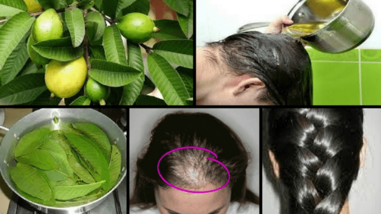 Hojas de guayaba para hacer crecer el cabello