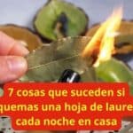 7 Cosas que suceden si quemas una hoja de laurel cada noche